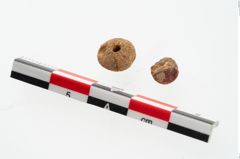 Etikett zu Keramikschale (NHMW-PRAE-085781)